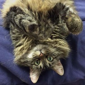 Meet your Posher, Mia